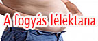 A fogy�s l�lektana